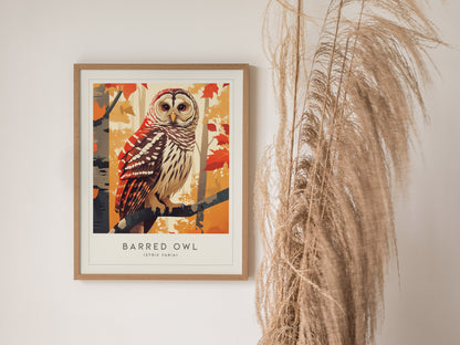 Barred Owl Framed Poster | Hoot Owl Nature Bird Lover Nature Modern Wall Art | Bird Of Prey Audubon Print Farm House Decor