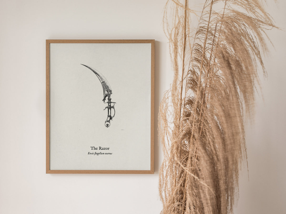 The Razor Poster | Ensis Flagellum Aureus Pen and Ink Print | Vintage Zoological Illustration Wall Art — styled in a modern i