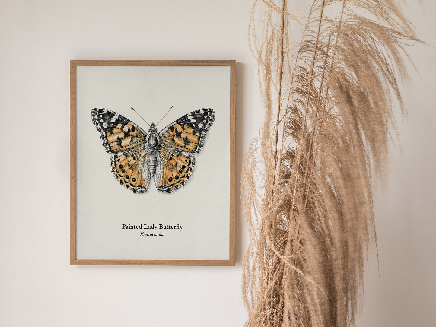 Painted Lady Butterfly Poster | Vintage Vanessa cardui Zoological Illustration Wall Art — styled in a modern interior