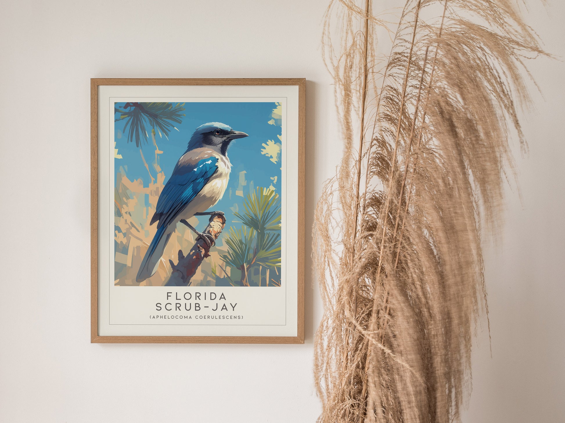 Florida Scrub Jay Poster | Audubon Bird Print Wall Art | Framed or Unframed