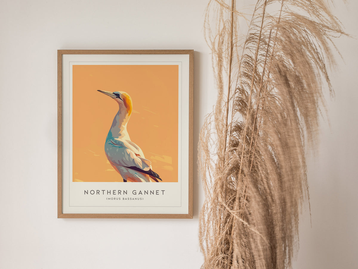 Northern Gannet, Morus bassanus Poster | Striking Seabird Wildlife Print Wall Art — styled in a modern interior