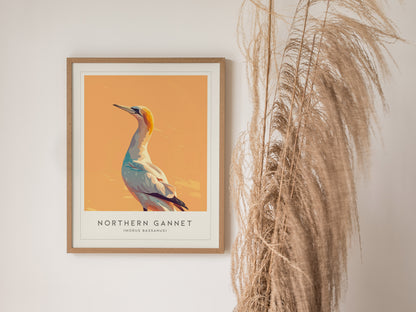 Northern Gannet, Morus bassanus Poster | Striking Seabird Wildlife Print Wall Art — styled in a modern interior