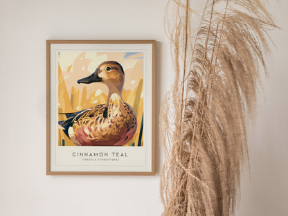 Cinnamon Teal, Spatula cyanoptera Poster | Vibrant Wetland Bird Wall Art — styled in a modern interior