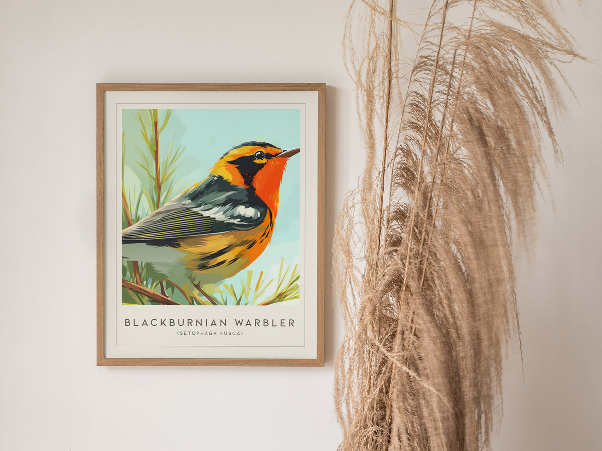Blackburnian Warbler, Setophaga fusca Poster | Fiery Songbird Nature Print Wall Art — styled in a modern interior