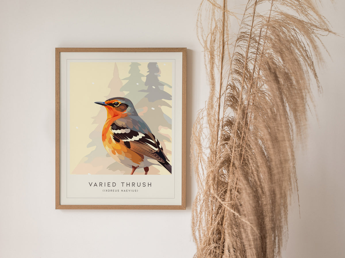 Varied Thrush, Ixoreus naevius Poster | Bold Forest Songbird Nature Poster Wall Art — styled in a modern interior