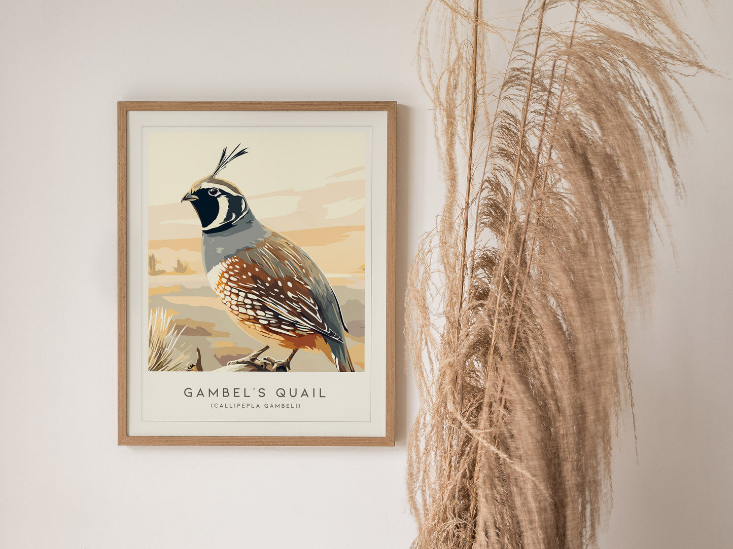 Gambel's Quail, Callipepla gambeli Poster | Desert Bird Wall Art Wildlife Print — styled in a modern interior