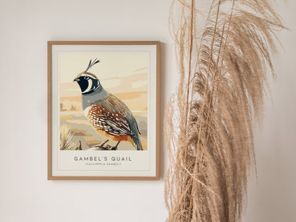 Gambel's Quail, Callipepla gambeli Poster | Desert Bird Wall Art Wildlife Print — styled in a modern interior