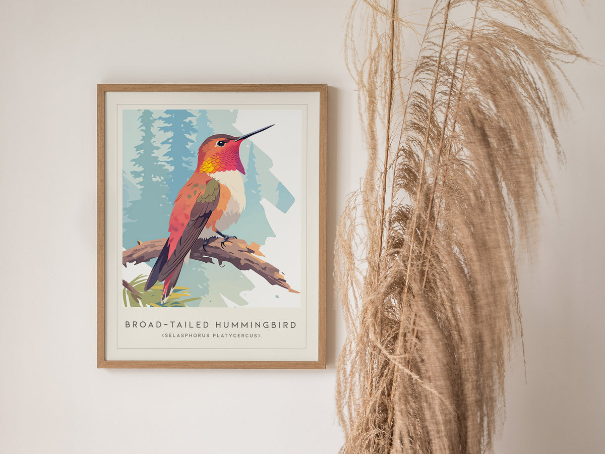 Broad-tailed Hummingbird, Selasphorus platycercus Poster | Vibrant Wildlife Print Nature Wall Art — styled in a modern interi