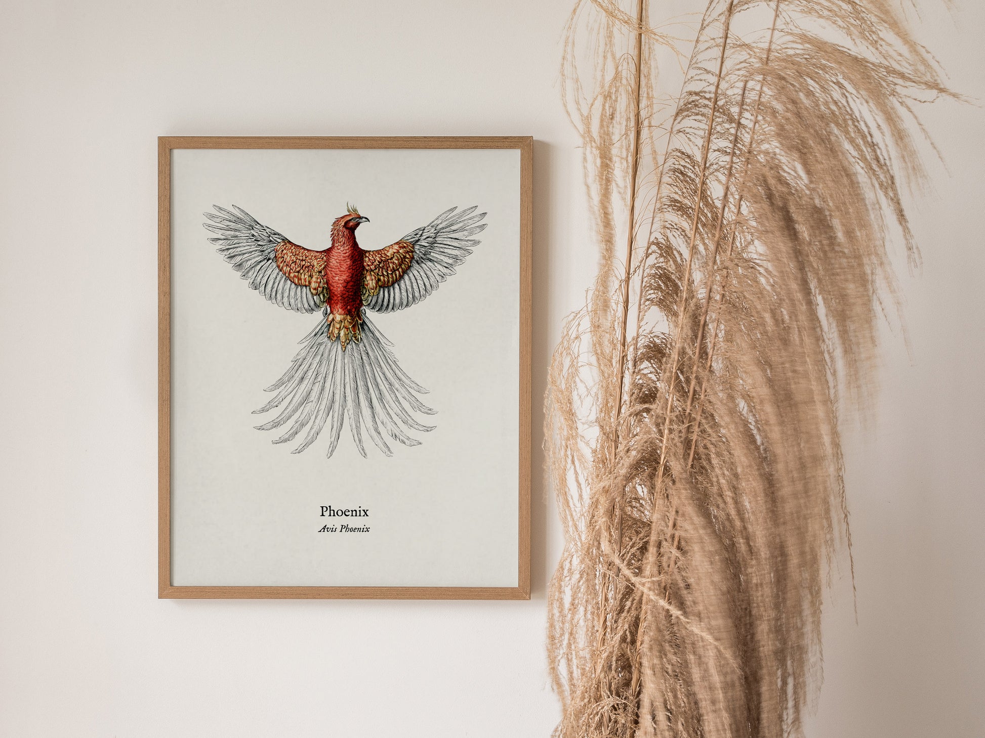 Phoenix Poster | Vintage Avis Phoenix Zoological Illustration Wall Art — styled in a modern interior