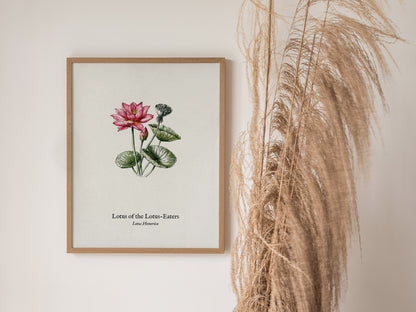 Lotus of the Lotus-Eaters Poster | Vintage Lotus Homerica Scientific Illustration Wall Art — styled in a modern interior