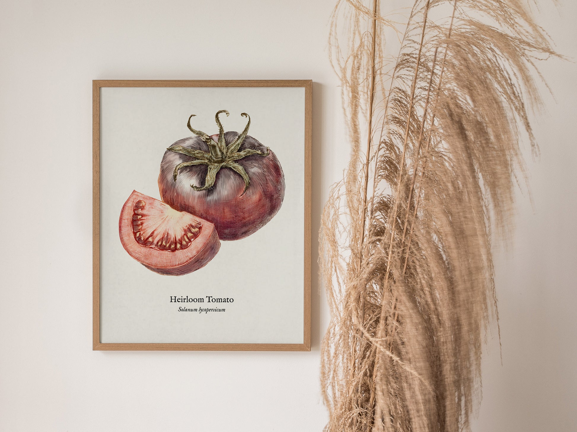 Heirloom Tomato Poster | Vintage Solanum Lycopersicum Botanical Illustration Wall Art — styled in a modern interior