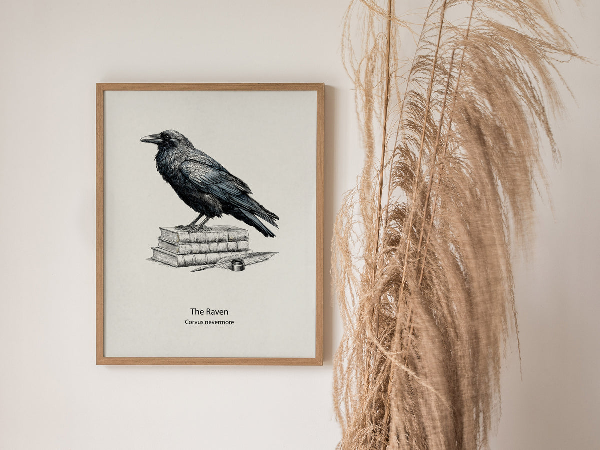 The Raven Poster | Corvus Nevermore Pen and Ink Print Zoological Illustration Wall Art — styled in a modern interior