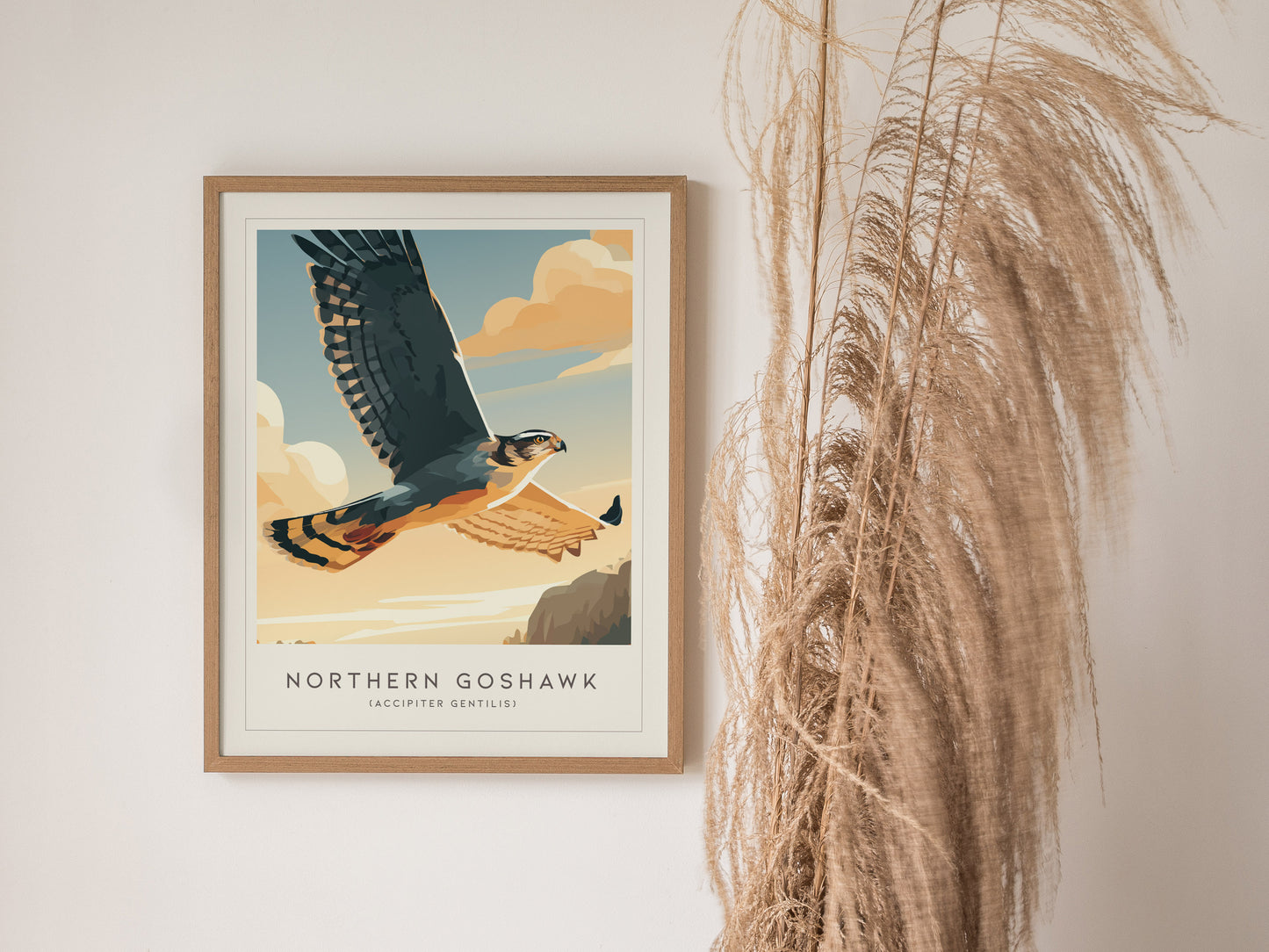 Northern Goshawk, Accipiter gentilis Poster | Fierce Raptor Bird Wall Art — styled in a modern interior