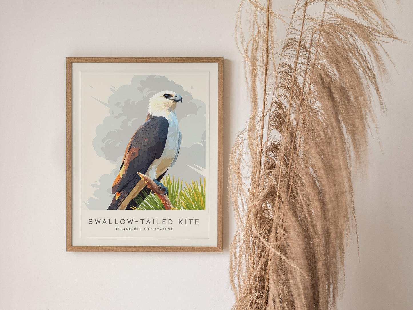 Swallow-tailed Kite Poster | Graceful Raptor in Flight Wall Art — styled in a modern interior