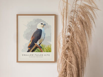 Swallow-tailed Kite Poster | Graceful Raptor in Flight Wall Art — styled in a modern interior