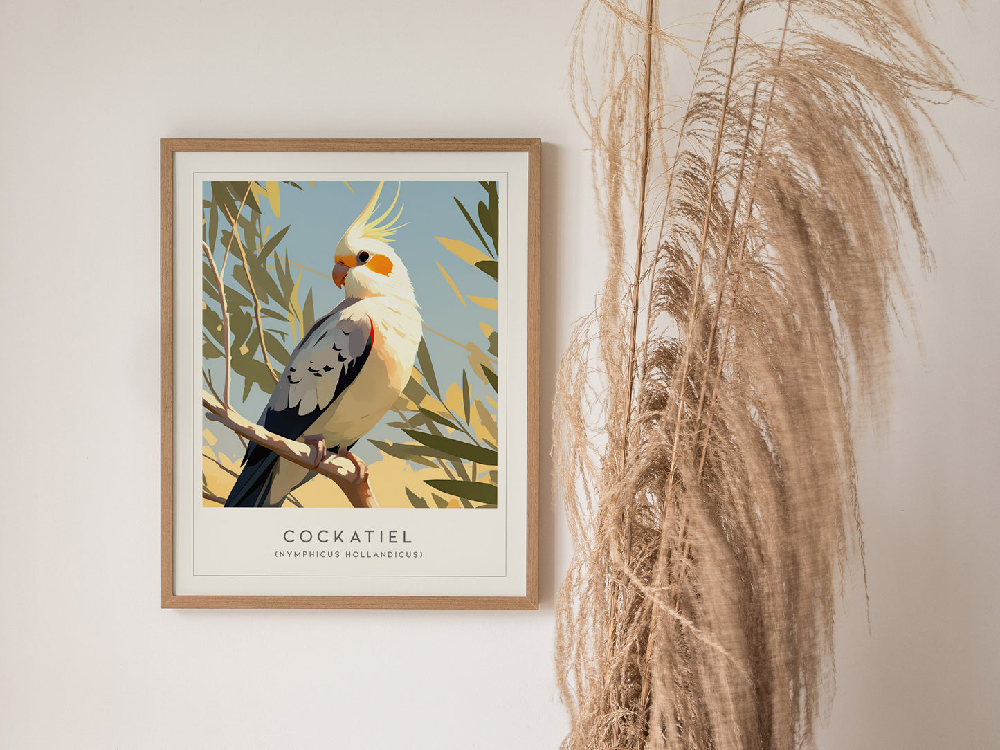 Cockatiel Parakeet Framed Poster | Parrot Bird Lover Modern Wall Art | Weero Cockatoo Australia Audubon Print Decor