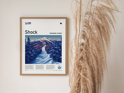 A framed poster titled Shock depicts a snowy ski run through dense, blue-toned evergreens with a mountain backdrop. It hangs on a wall beside dried ornamental grass.