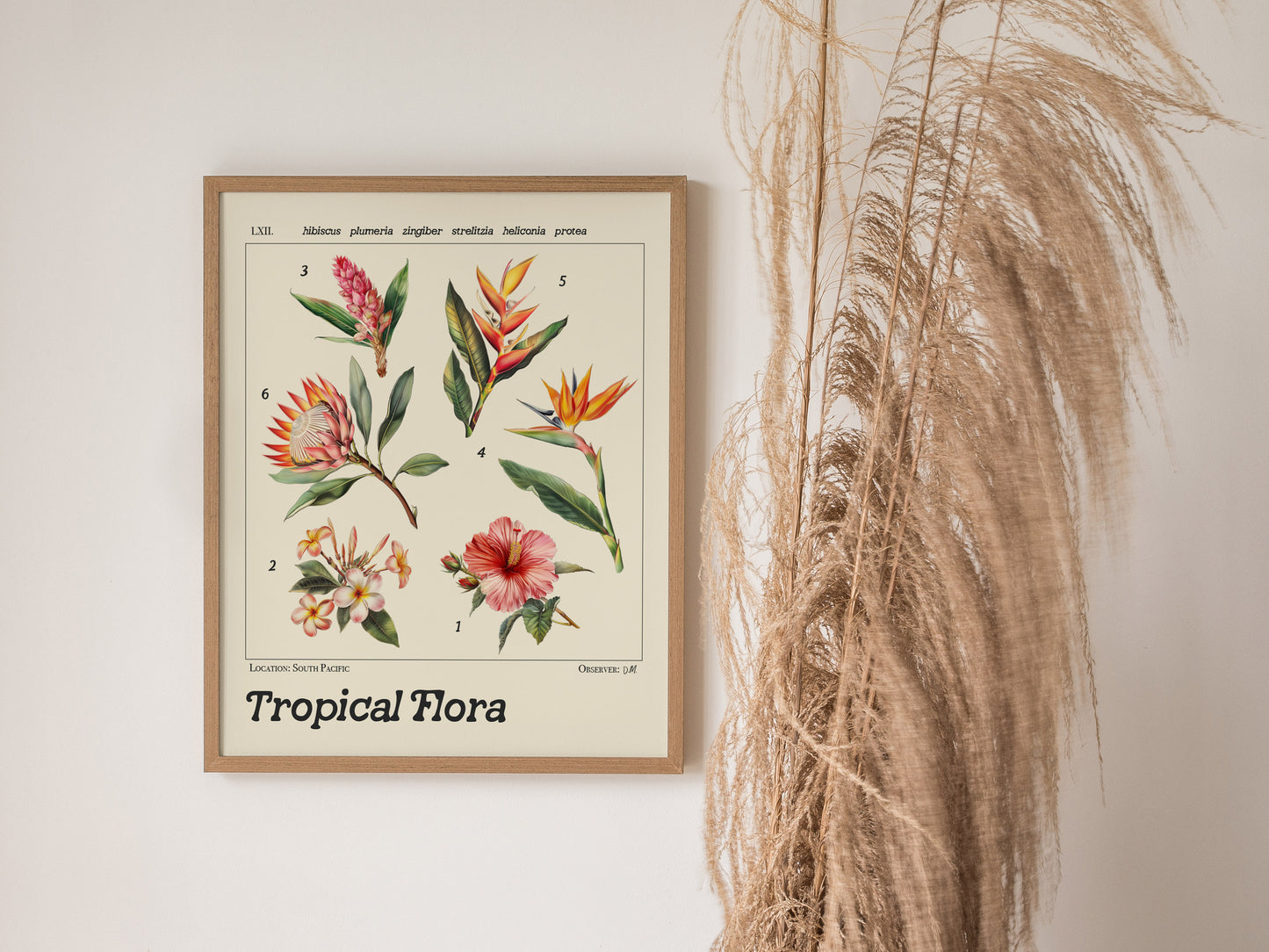 A framed botanical illustration poster depicting six tropical flowers with Latin names hangs on a white wall, accompanied by tall, dried pampas grass to the right.