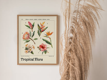 A framed botanical illustration poster depicting six tropical flowers with Latin names hangs on a white wall, accompanied by tall, dried pampas grass to the right.