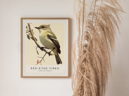 Red-Eyed Vireo Poster | Forest Songbird Wall Art
