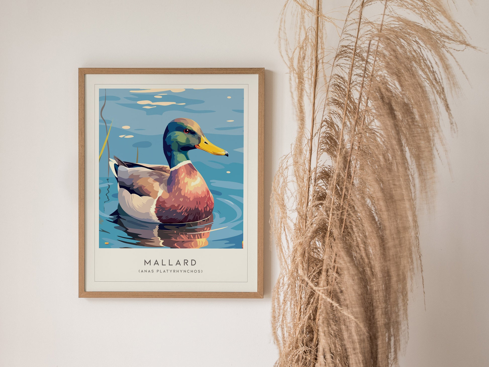 Mallard Poster | Graceful Duck on Tranquil Waters Wall Art — styled in a modern interior
