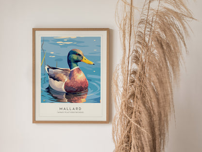 Mallard Poster | Graceful Duck on Tranquil Waters Wall Art — styled in a modern interior