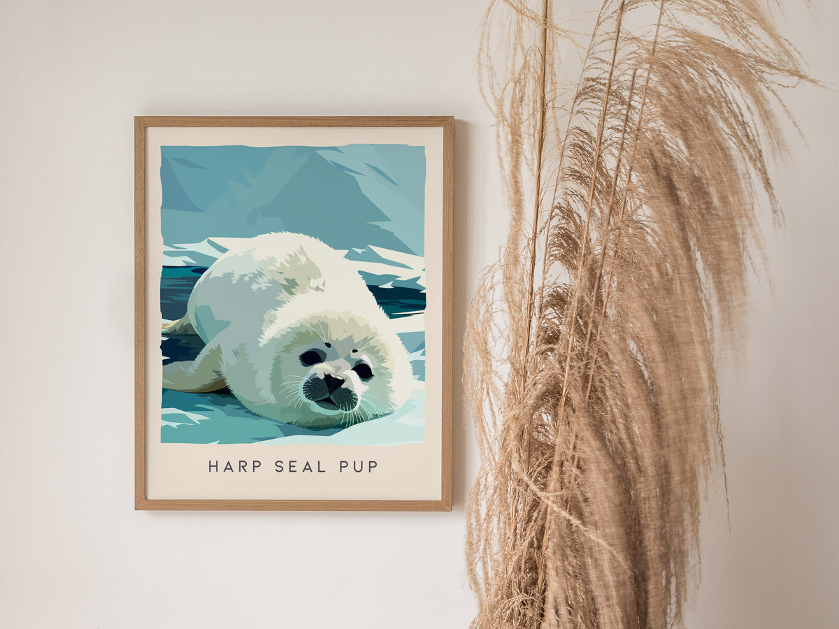Harp Seal Pup, Pagophilus groenlandicus Poster | Arctic Wildlife Wall Art — styled in a modern interior