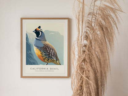 California Quail Poster | Golden State Bird Illustration Wall Art — styled in a modern interior