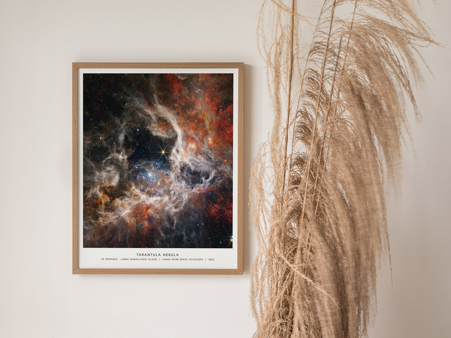 Framed Tarantula Nebula James Webb space art hanging on a white wall in a modern living room