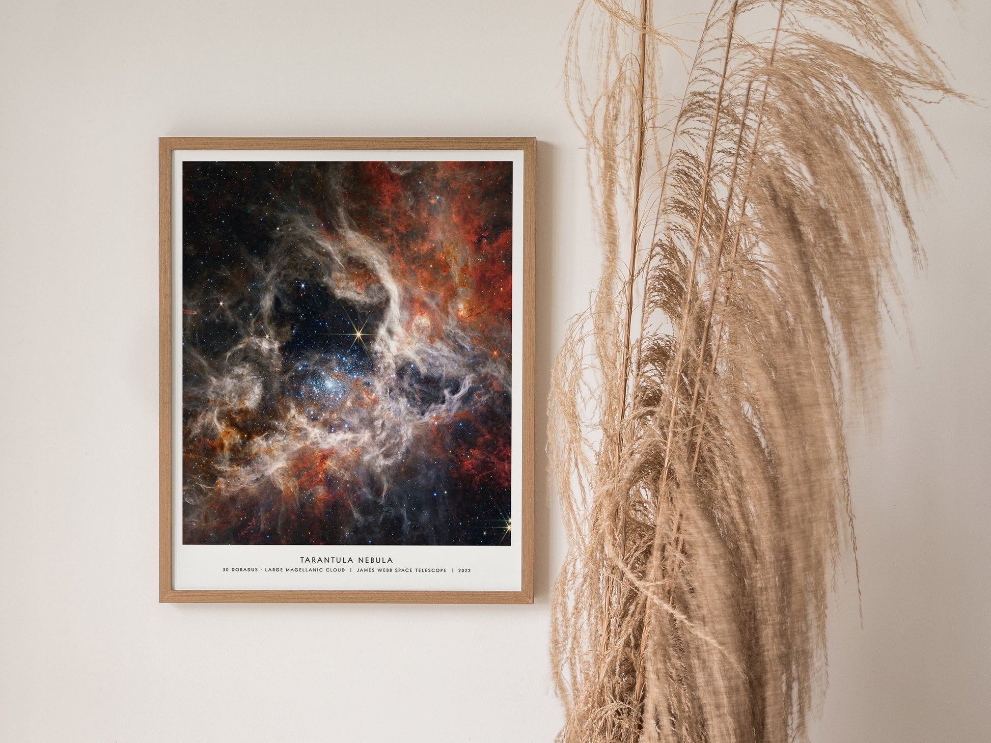 Framed Tarantula Nebula James Webb space art hanging on a white wall in a modern living room