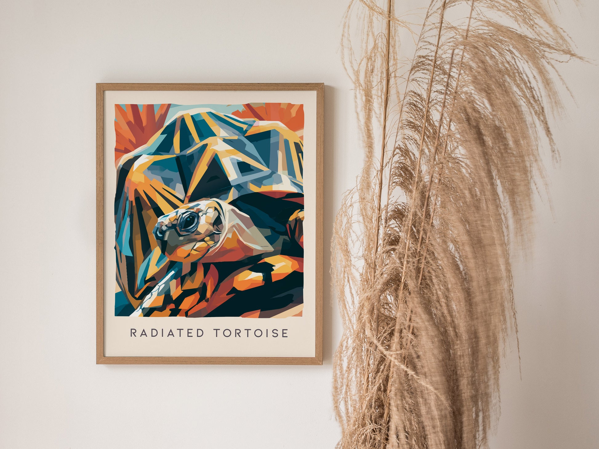 Radiated Tortoise Poster | Exotic Wildlife Portrait Fine Wall Art — styled in a modern interior