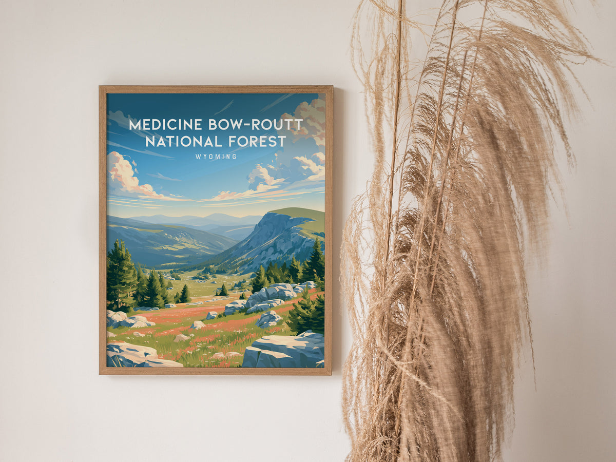 Medicine Bow-Routt National Forest, Wyoming Poster | Alpine Wilderness & Mountain Meadows Wall Art — styled in a modern inter