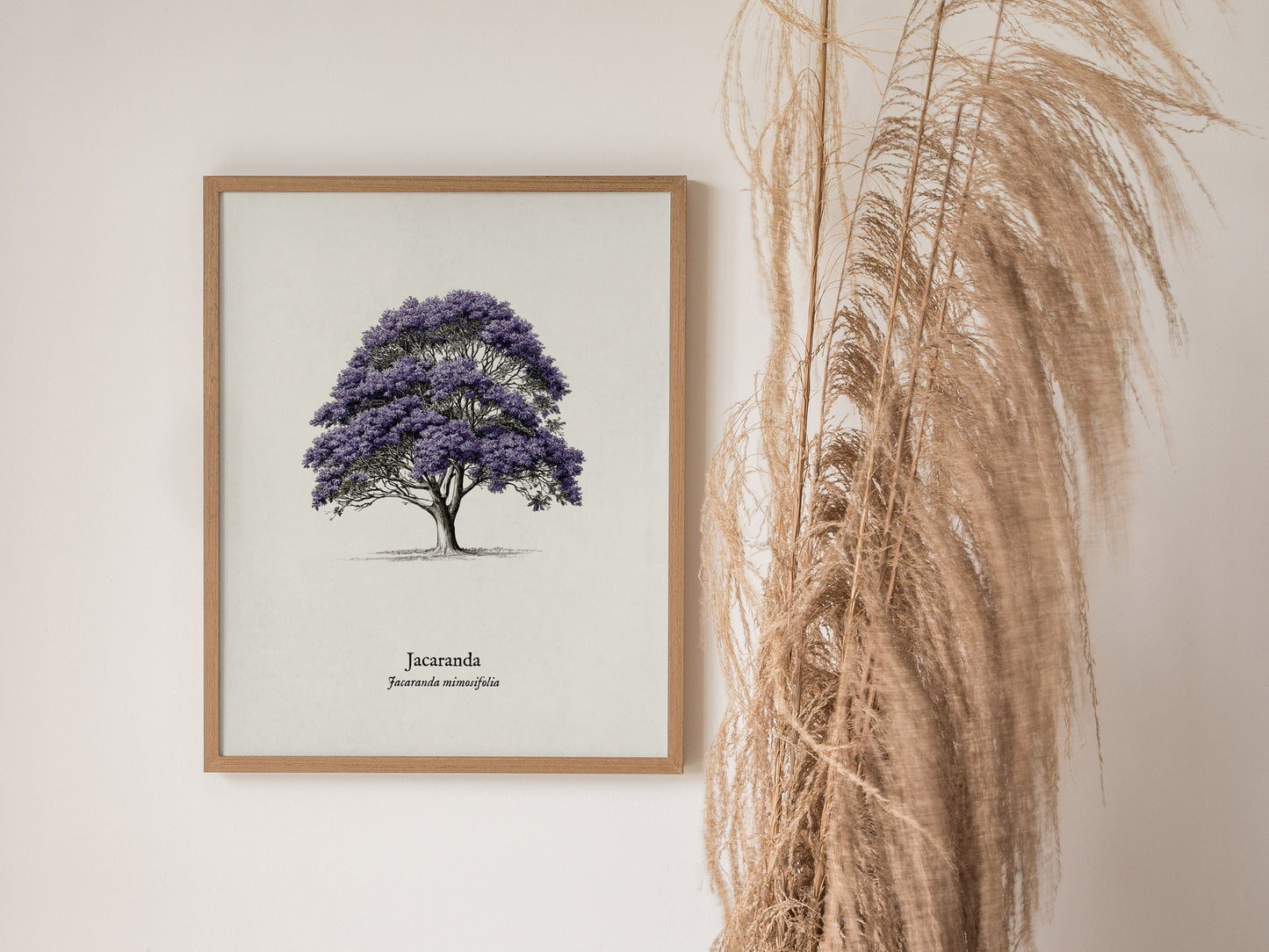 Jacaranda Poster | Vintage Jacaranda mimosifolia Botanical Illustration Wall Art — styled in a modern interior
