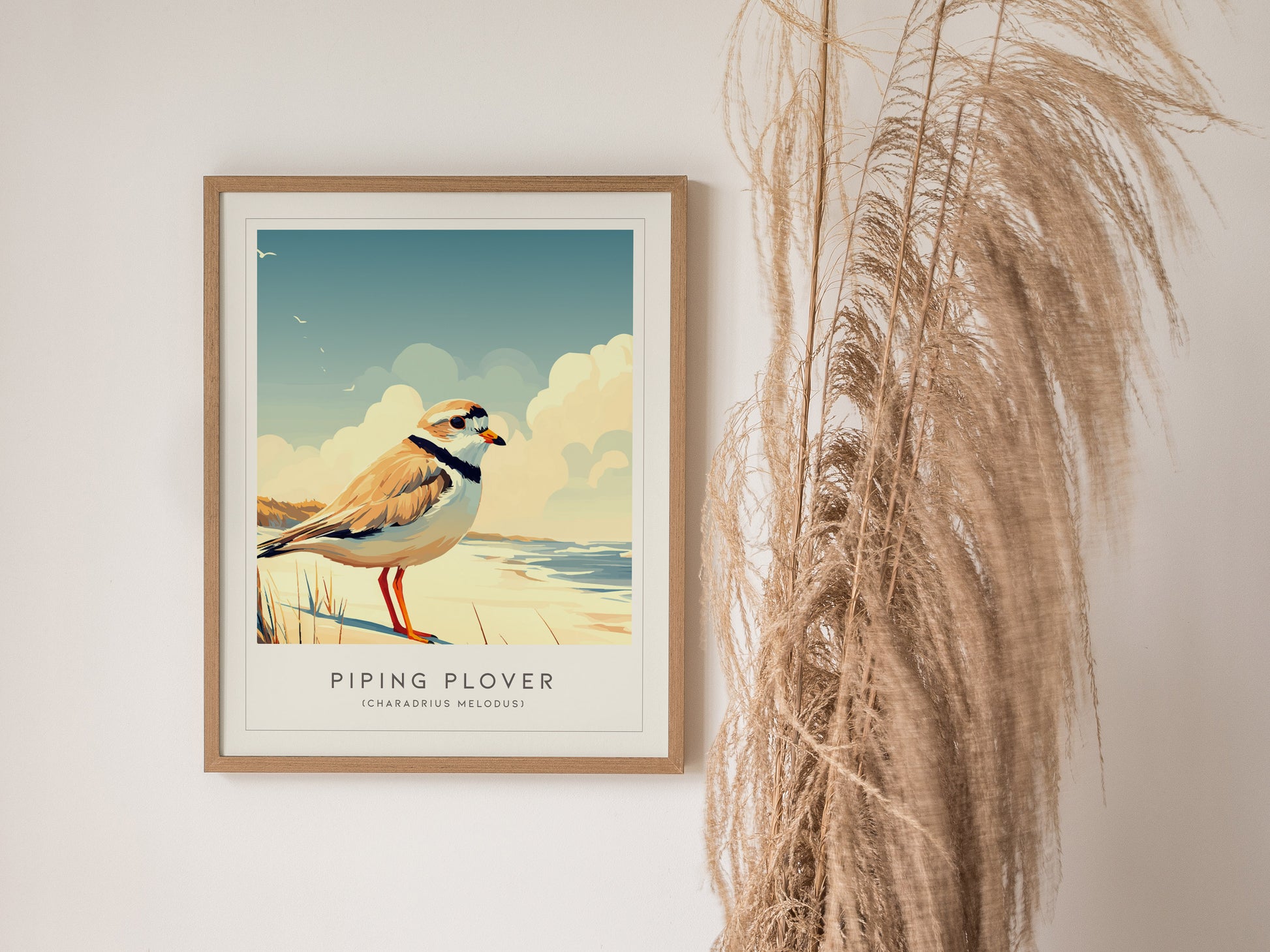 Piping Plover, Charadrius melodus Poster | Shorebird Nature Poster Wall Art — styled in a modern interior