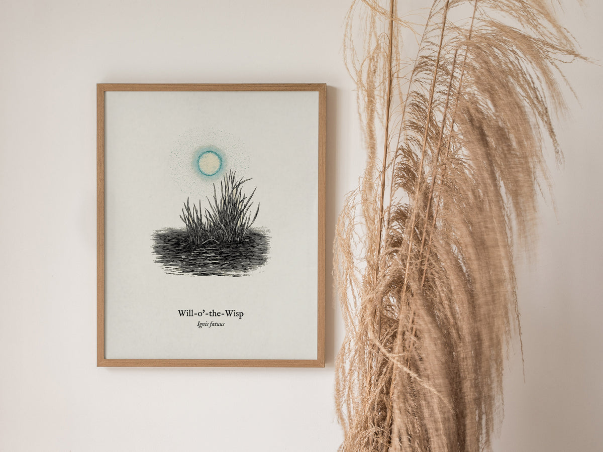 Will-o'-the-Wisp Poster | Ignis Fatuus Pen and Ink Print | Vintage Scientific Illustration Wall Art — styled in a modern inte