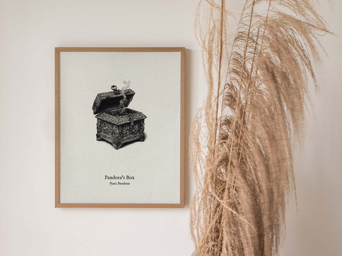 Pandora's Box Poster | Pyxis Pandorae Pen and Ink Print Vintage Scientific Illustration Wall Art — styled in a modern interio