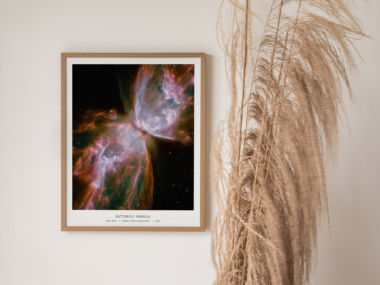 Framed Butterfly Nebula poster showcasing vibrant pink, purple, and green hues, highlighting NGC 6302's intricate cosmic details.