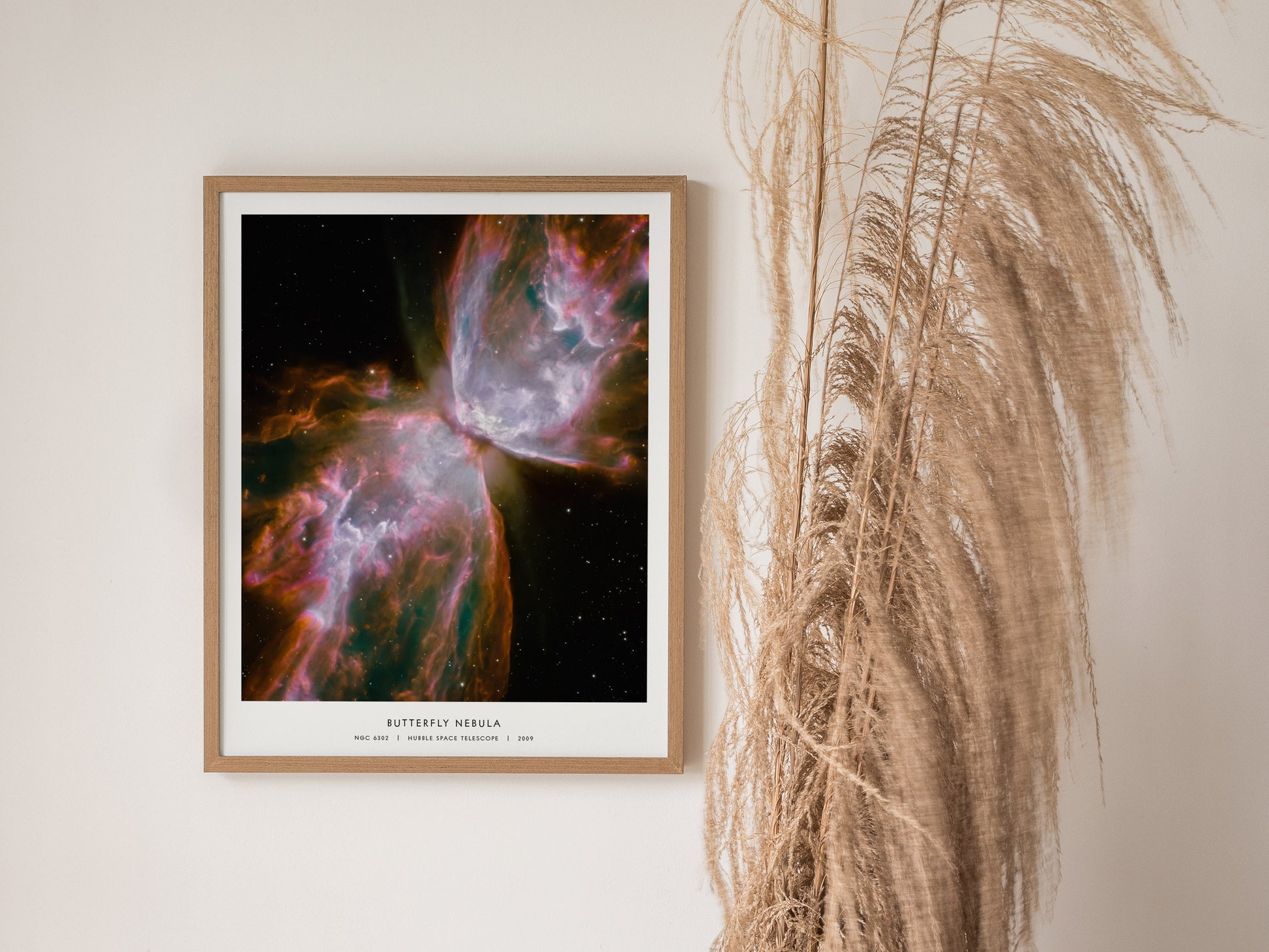 Framed Butterfly Nebula poster showcasing vibrant pink, purple, and green hues, highlighting NGC 6302's intricate cosmic details.