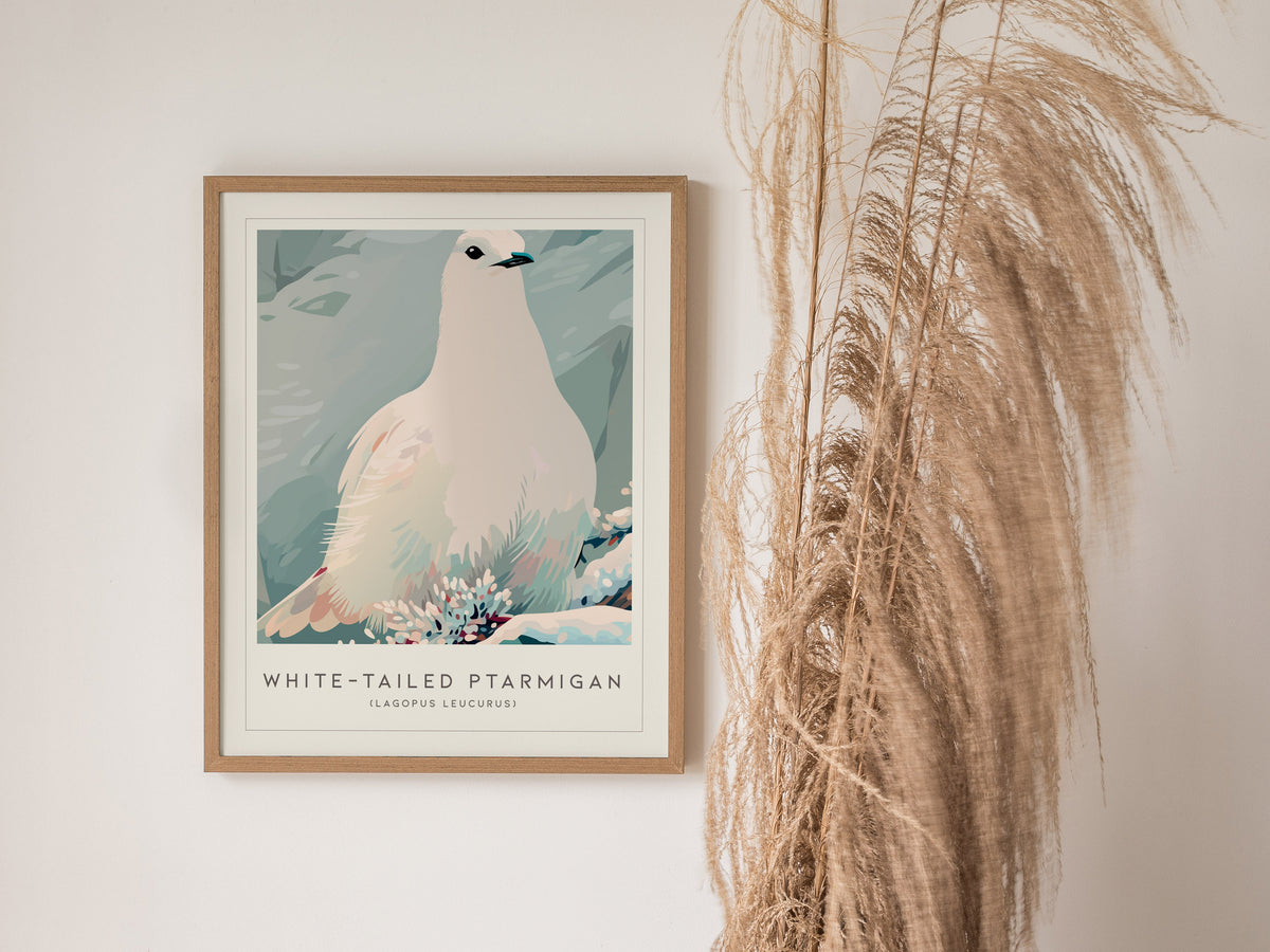 White-tailed Ptarmigan, Lagopus leucurus Poster | Alpine Bird Wall Art — styled in a modern interior