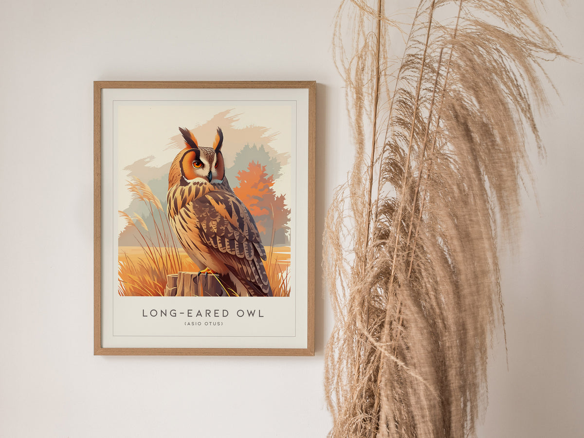 Long-eared Owl, Asio otus Poster | Mysterious Forest Raptor Bird Wall Art — styled in a modern interior