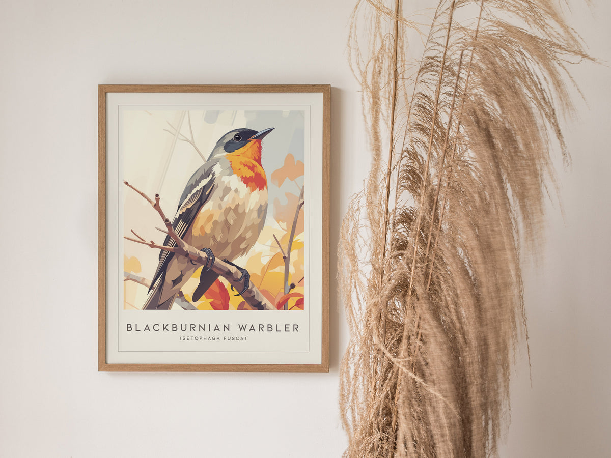 Blackburnian Warbler, Setophaga fusca Poster | Fiery Songbird Nature Print Wall Art — styled in a modern interior