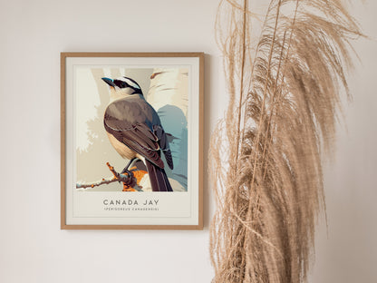 Canada Jay, Perisoreus canadensis Poster | Bold Boreal Bird Wall Art — styled in a modern interior