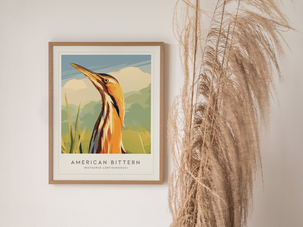 American Bittern Poster | Marshland Heron Wildlife Wall Art — styled in a modern interior