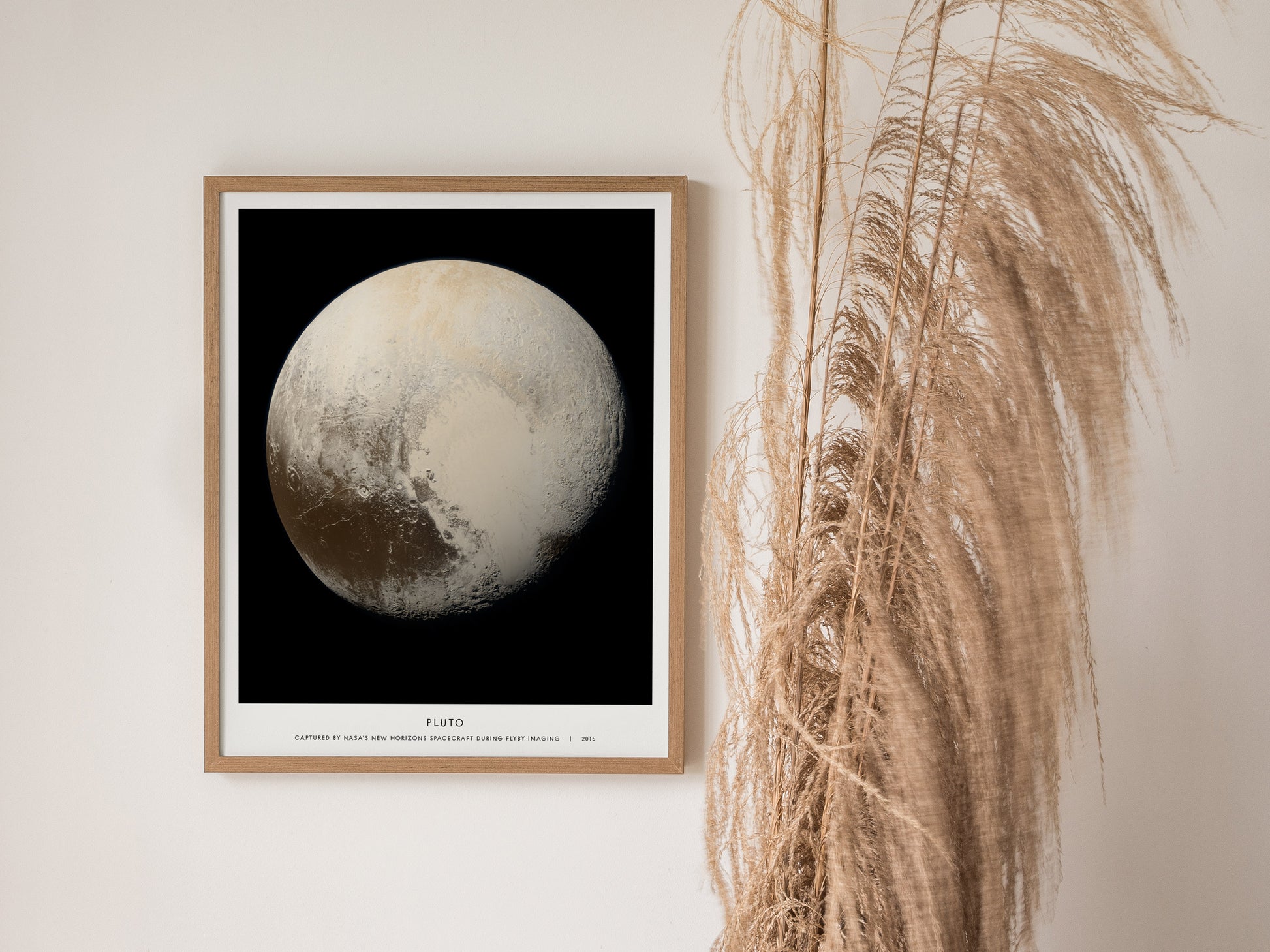 Framed poster of Pluto on a wall with decorative plant leaves.