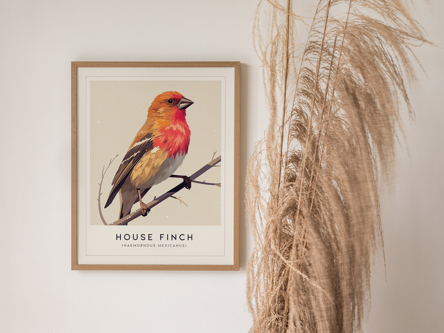 House Finch Poster | Haemorhous mexicanus Bird Wall Art