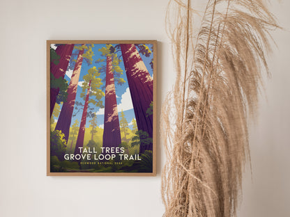 Tall Trees Grove Loop Trail Poster | Redwood National Park Art Gift
