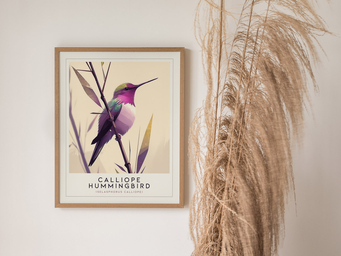 Calliope Hummingbird Audubon Print | Bird Lover Wall Art | Framed or Unframed