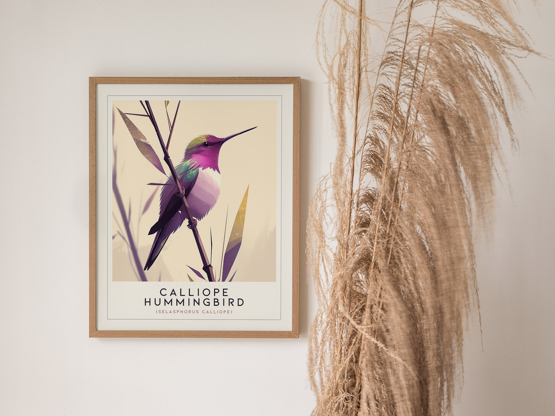 Calliope Hummingbird Audubon Print | Bird Lover Wall Art | Framed or Unframed