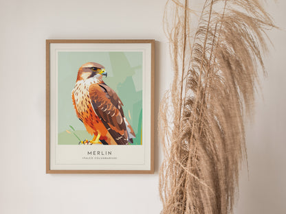 Merlin Bird Poster | Compact Falcon in Flight Wall Art — styled in a modern interior