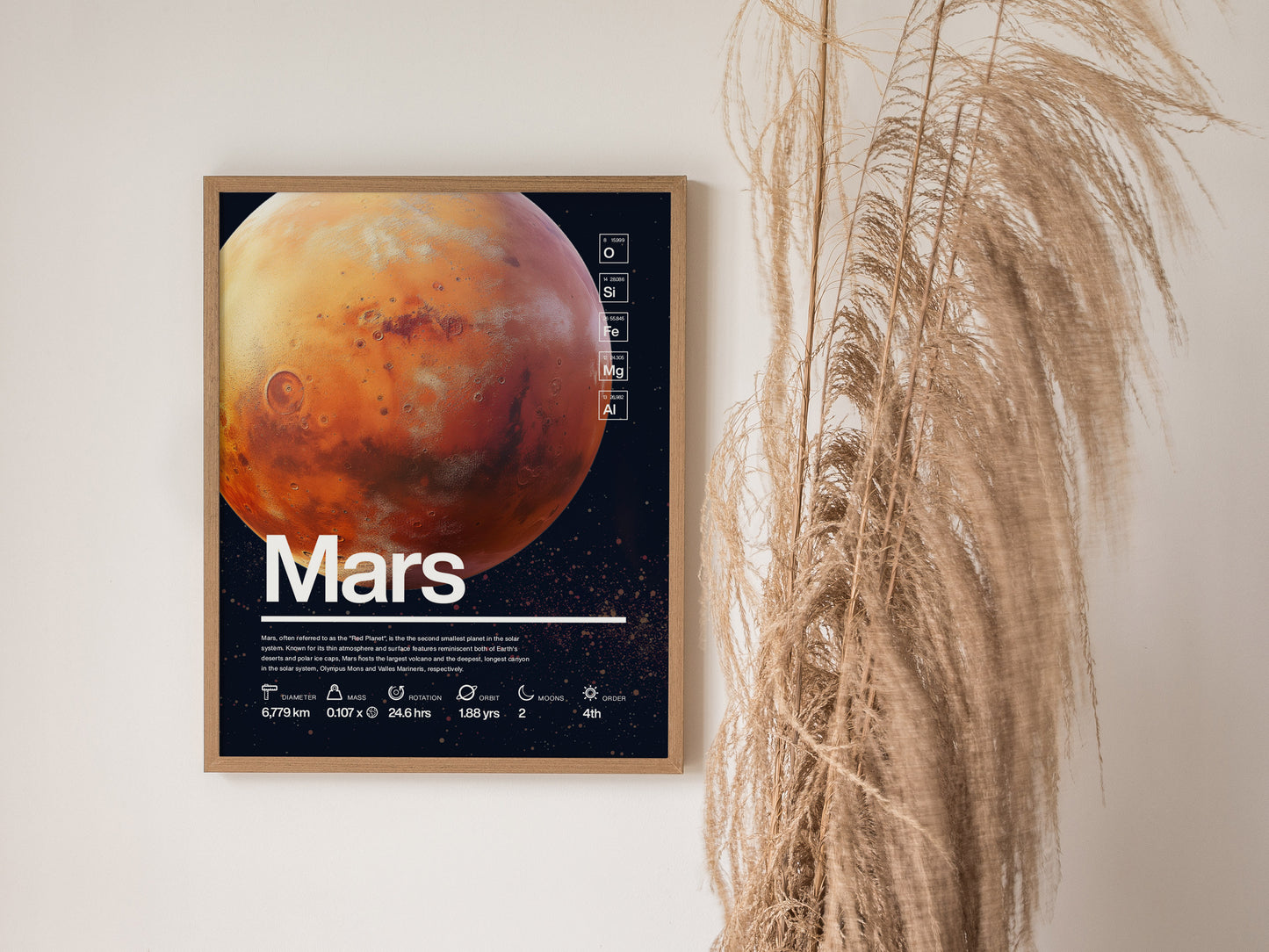 A framed poster of Mars features detailed planetary information and statistics against a dark background, with decorative pampas grass to the side.